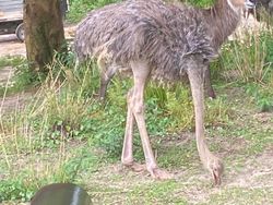 Bukti Angle Foto Bisa Bikin Mata Tertipu