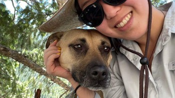 Anjing tersebut tidak memiliki badan? Foto: dok reddit/confusing_perspective