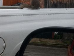 Bukti Angle Foto Bisa Bikin Mata Tertipu