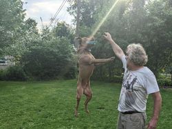 Bukti Angle Foto Bisa Bikin Mata Tertipu