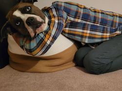 Bukti Angle Foto Bisa Bikin Mata Tertipu