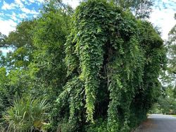 Bukti Angle Foto Bisa Bikin Mata Tertipu