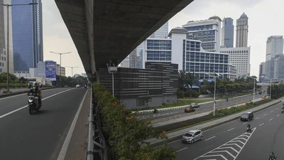 PPKM Darurat, Jalan Panjang Meredam Corona