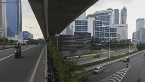PPKM Darurat, Jalan Panjang Meredam Corona