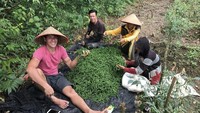 Panen cabe ijo di tengah-tengah kebun, Chevra sebut kegiatan serunya ini sebagai bolang atau bocah petualangan. Foto: Instagram @chevra_yo88