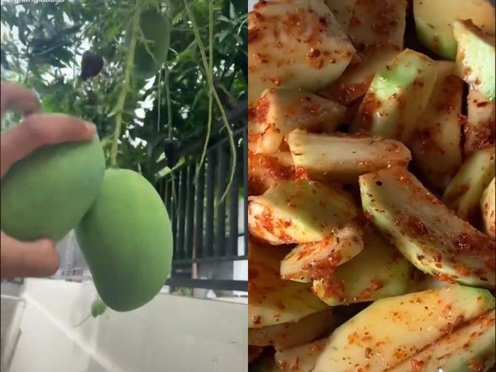 PPKM Darurat, Ini 5 Tren Kuliner di TikTok yang Bisa Kamu Coba di Rumah