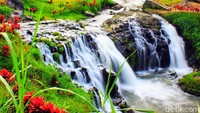 Air terjun ini kemudian dimasukkan dalam salah satu geosite Ijen Geopark. (Chuk Shatu W/detikcom)