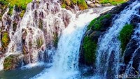 Air terjun Little Niagara itu terletak di Kebun Blawan, PTPN XII, yang secara administratif berada di Desa Kalianyar, Ijen, Bondowoso. (Chuk Shatu W/detikcom)