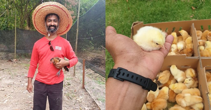 Karena Pandemi, Pramugara Ini Ganti Profesi Jadi Peternak Ayam dan Ikan