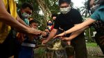 Mengenal Ritual Fang Sheng, Tradisi Melepas Binatang ke Alam Bebas
