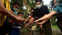 Sejumlah umat Buddha berkumpul di Pantai Kalasey, Minahasa, untuk melepaskan dua ekor penyu ke laut.
