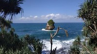 Maklum, obyek wisata di Pacitan ini baru dibuka akhir tahun 2020. Sebenarnya Baban Gede merupakan nama bukit di timur kawasan itu. Bukit itu tengah dalam penataan. Dari bukit ini, tersaji pemandangan cantik pantai. (Purwo Sumodiharjo/detikTravel)