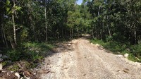 Berikutnya perjalanan menuju pantai dilanjutkan dengan jalan tanah. Akses jalan hingga saat ini masih dalam tahap penyempurnaan. Dari sekitar 2 kilometer jalan desa, baru separuh yang dilapisi cor. (Purwo Sumodiharjo/detikTravel)