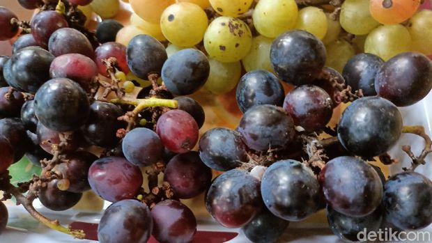 Renyah Legit! Anggur Prabu Bestari Probolinggo yang Tak Kalah dengan Anggur Impor