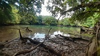Pulau Kapotar merupakan pulau kecil memanjang di Kepulauan Moora, kawasan Teluk Cendrawasih, Nabire, Papua. Di pulau ini ada Telaga Mamberkora yang unik dan cantik. (Hari Suroto/Istimewa)