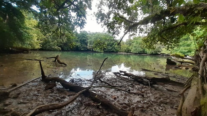 Telaga Mambekora dan Kerang Taitori