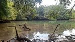 Foto: Telaga Mambekora Papua dan Kerang Jelek tapi Rasanya Gurih