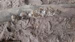 Foto: Telaga Mambekora Papua dan Kerang Jelek tapi Rasanya Gurih