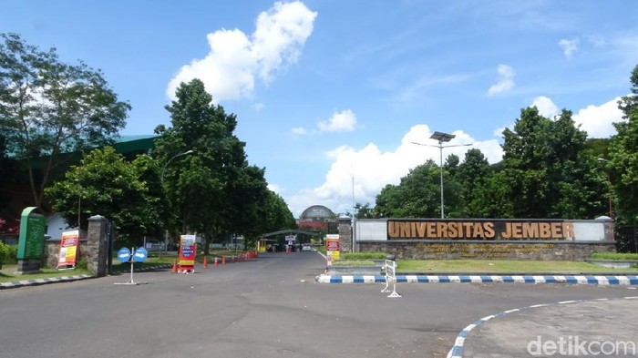 universitas jember