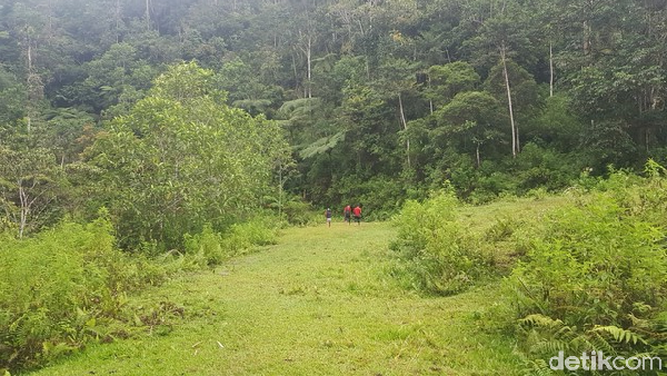 Akses jalan dari pemukiman warga ke kawasan wisata Sarambu Sollokan cukup menantang. Sebagian besar ditumbuhi belukar, dengan permukaan jalan yang licin dan becek. Pada sejumlah titik, terlihat permukaan tanah yang terbongkar. Akses jalan dari pemukiman warga ke kawasan wisata Sarambu Sollokan cukup menantang. Sebagian besar ditumbuhi belukar, dengan permukaan jalan yang licin dan becek. Pada sejumlah titik, terlihat permukaan tanah yang terbongkar.Â