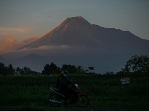 Pamit Mendaki Merapi, Pria Sleman Ini Hilang Kontak Sejak Kemarin