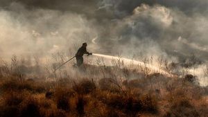 Jejak Mengerikan Kebakaran Hutan di Siprus