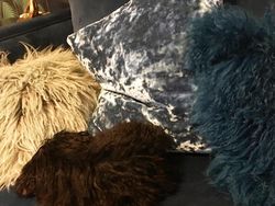 Deretan Kamuflase Canggih Hewan Bikin Mata Kebingungan