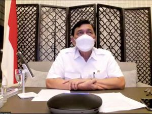 Soal WNA Masuk RI, Luhut: Nggak Ngerti Masalah Jangan Asal Ngomong!
