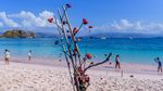 Wisata Super Prioritas Labuan Bajo