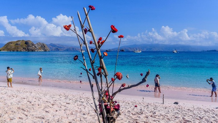 WISATA SUPER PRIORITAS LABUAN BAJO Wisatawan melihat komodo di Taman Nasional Komodo, Nusa Tenggara Timur.