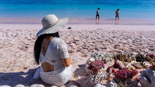 Wisatawan melihat komodo di Taman Nasional Komodo, Nusa Tenggara Timur.