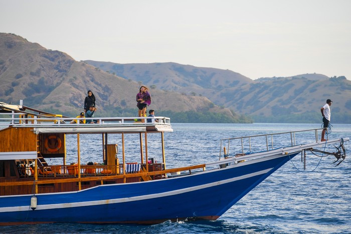 Wisatawan melihat komodo di Taman Nasional Komodo, Nusa Tenggara Timur.