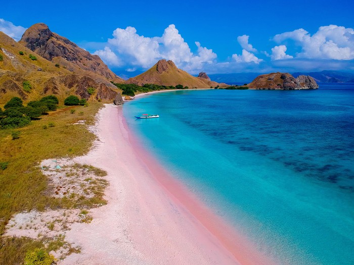 Wisatawan melihat komodo di Taman Nasional Komodo, Nusa Tenggara Timur.