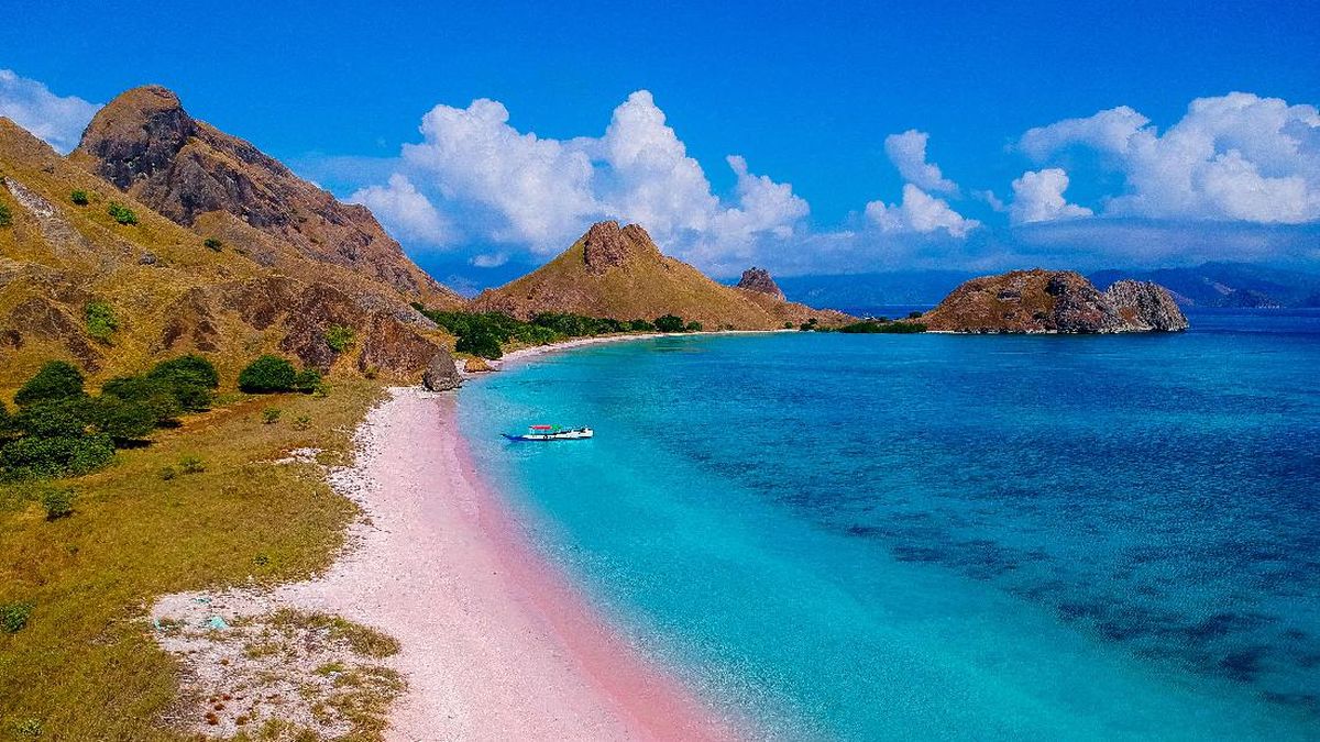 Wisata Populer Labuan Bajo, Indahnya Pink Beach-Pulau Komodo