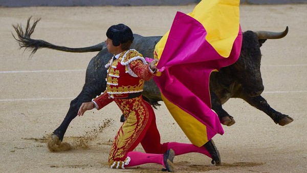 Banteng sudah menjadi bagian dari budaya bagi masyarakat Spanyol sejak zaman Romawi. Masyarakat yang tinggal di Iberia sering kali mengunjungi sirkus-sirkus untuk melihat pertarungan antara seorang gladiator melawan seekor binatang, salah satunya banteng. Banteng sudah menjadi bagian dari budaya bagi masyarakat Spanyol sejak zaman Romawi. Masyarakat yang tinggal di Iberia sering kali mengunjungi sirkus-sirkus untuk melihat pertarungan antara seorang gladiator melawan seekor binatang, salah satunya banteng.