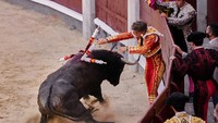 Bahkan, dulu pasukan tentara romawi saat bepergian untuk menjelajahi suatu daerah selalu membawa bersamanya berbagai jenis binatang termasuk banteng dan lembu.