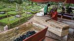 Diamuk Varian Delta, Kasus Baru COVID-19 RI Nomor Dua di Dunia