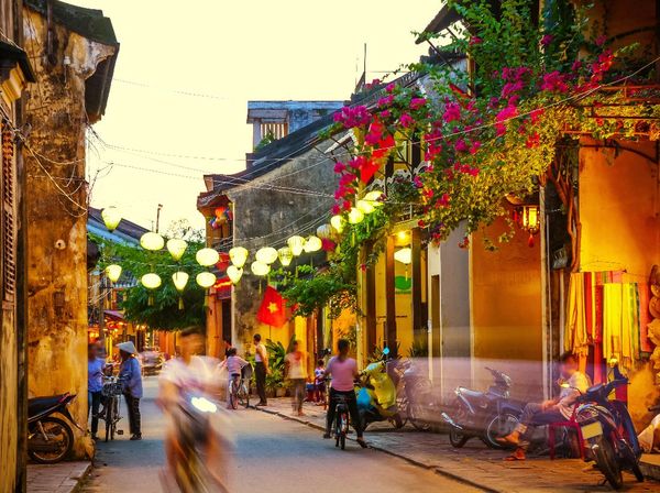 Hoi An, Kota Bersejarah di Vietnam, Akan Setop Konsumsi Daging Anjing