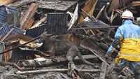 Anjing pelacak dikerahkan untuk mencari korban longsor.