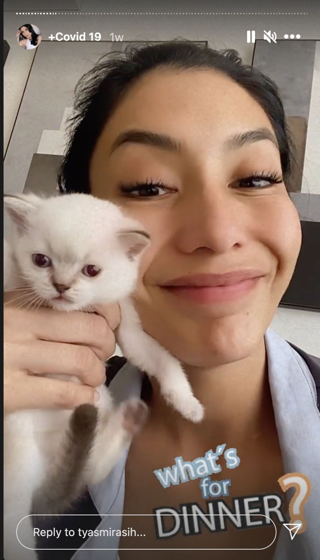 Bermain bersama kucing kesayangannya juga menjadi aktivitas favorit Tyas Mirasih saat menjalani isolasi mandiri. Meski demikian Tyas berusaha tidak berinteraksi terlalu banyak dengan kucingnya agar hewan kesayangannya itu tidak tertular. Foto: Dok. Instagram @ tyasmirasih