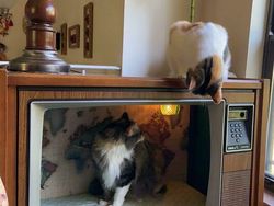 Inspiratif! Sulap Barang Bekas Jadi Bernilai Tuai Pujian Netizen