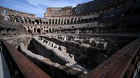 Sebagai tanggapan, awalnya hal ini bermula dari ide Elon Musk, Suatu saat pertarungan terjadi di Colosseum, cuit Elon beberapa waktu lalu. Setelah Musk mencuit di awal bulan ini bahwa ia akan bertarung di arena dengan Zuckerberg, pendiri Facebook tersebut membalas dengan memposting tangkapan layar dari cuitan Musk dengan judul kirimkan lokasi. Filippo Monteforte/AFP