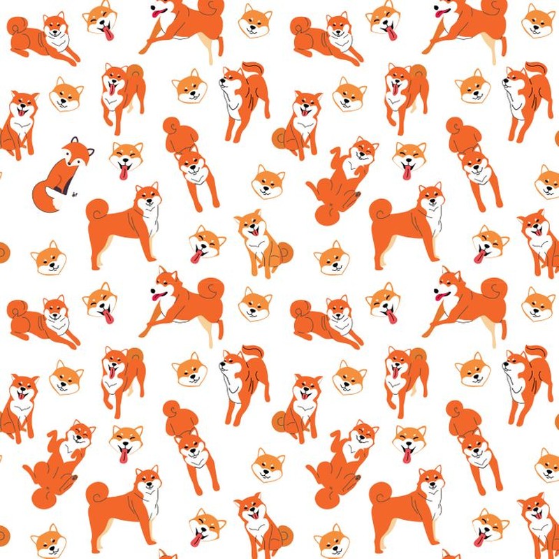 fotoinet uji kejelian mata