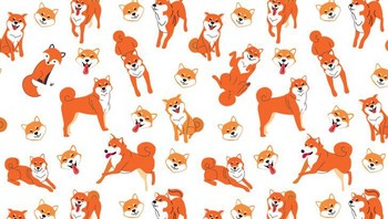 Ada Rubah lho, d mana ya? Foto: Brightside