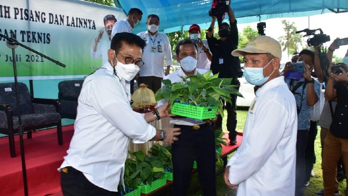 Kementan