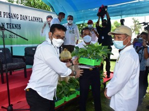 Warga Jeneponto Dapat Bantuan 20.000 Bibit Pisang dari Kementan