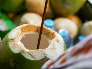 Deretan Hoax Air Kelapa: Netralkan Vaksin hingga Obati COVID-19
