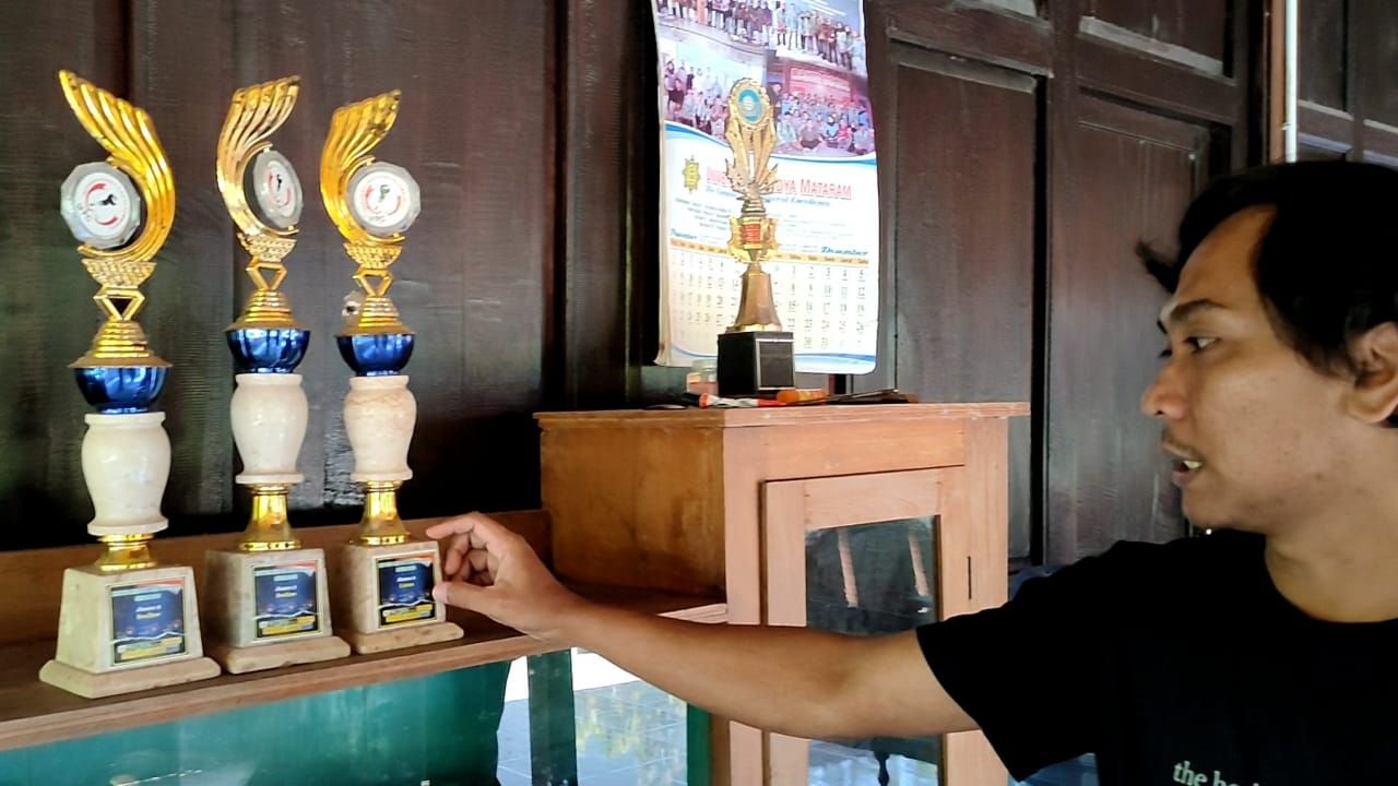 Koleksi merpati hias impor di tempat peternakan merpati hias milik Ambar Wahyudi di Dusun Carikan, Kalurahan Bumirejo, Kapanewon Lendah, Kulon Progo