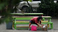 Sebagian warga mengajak hewan peliharaan saat berjemur di bawah sinar matahari pagi.