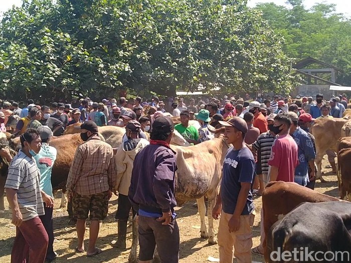 Pasar Hewan Kajen Kabupaten Pekalongan ramai di tengah masa PPKM Darurat, Rabu (7/7/2021).